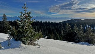 Col du Marchairuz - Grand Cunay Rando 2023