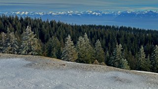 Col du Marchairuz - Grand Cunay Rando 2023