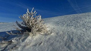 Col du Marchairuz - Grand Cunay Rando 2023