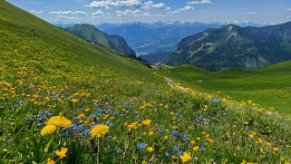 Parc naturel du Gantrisch Rando 2023