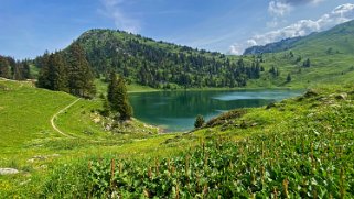 Parc naturel du Gantrisch - Oberstockensee 1666 m Rando 2023