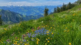 Parc naturel du Gantrisch Rando 2023