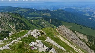 Parc naturel du Gantrisch - Homad 2076 m Rando 2023