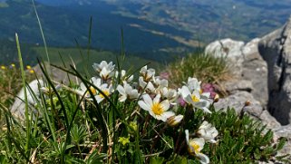 Parc naturel du Gantrisch - Homad 2076 m Rando 2023