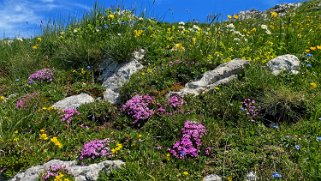 Parc naturel du Gantrisch - Homad 2076 m Rando 2023