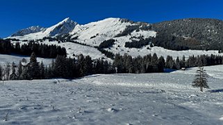 Les Mosses - Lac Lioson Rando 2023