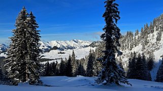 Les Mosses - Lac Lioson Rando 2023