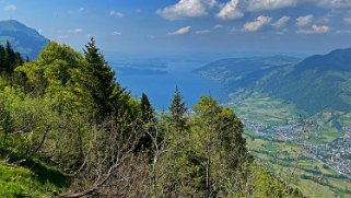 Rigi Rando 2023