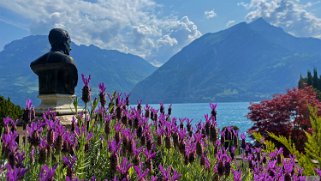 Lac des Quatre-Cantons - Bauen Rando 2023