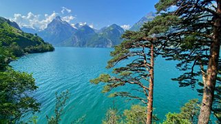 Lac des Quatre-Cantons Rando 2023