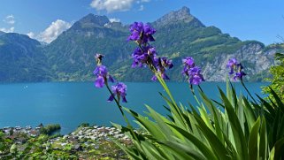 Lac des Quatre-Cantons Rando 2023