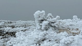 Le Chasseron 1607 m Rando 2023