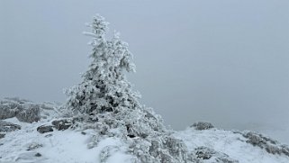 Le Chasseron Rando 2023