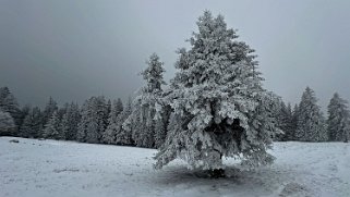 Le Chasseron Rando 2023