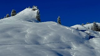 La Lécherette - Monts Chevreuils Rando 2023