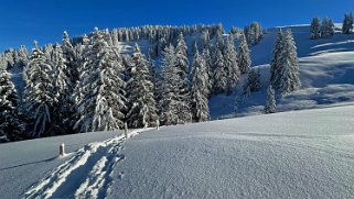 La Lécherette - Monts Chevreuils Rando 2023