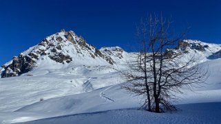 Le Toûno 3018 m - Tsa du Toûno Rando 2023