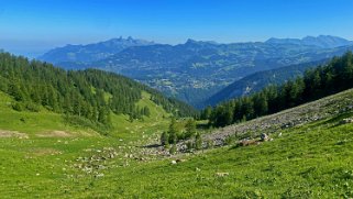 Col des Pauvres - Vallon de Nant Rando 2023