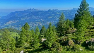 Col des Pauvres - Vallon de Nant Rando 2023