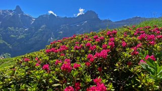 Col des Pauvres - Vallon de Nant Rando 2023