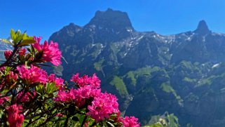 Col des Pauvres - Vallon de Nant Rando 2023