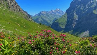 Col des Pauvres - Vallon de Nant Rando 2023