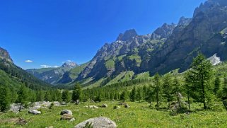 Vallon de Nant Rando 2023