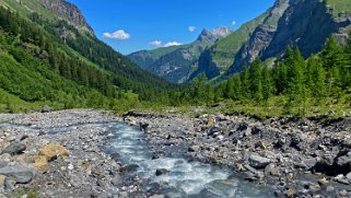 Vallon de Nant Rando 2023