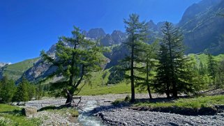 Vallon de Nant Rando 2023