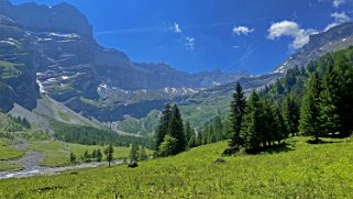 Vallon de Nant Rando 2023