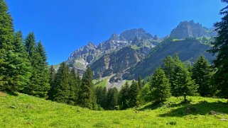 Vallon de Nant Rando 2023