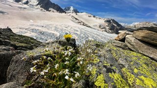 Glacier du Tour Rando 2024