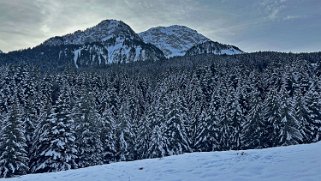 Gérignoz - Cabane de la Sarouche Rando 2024