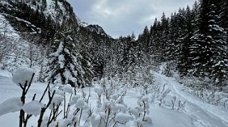 Gérignoz - Cabane de la Sarouche Rando 2024