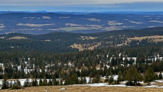 Mont Tendre 1679 m Rando 2024