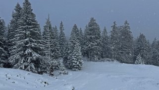 Crêt de la Neuve 1494 m Rando 2024