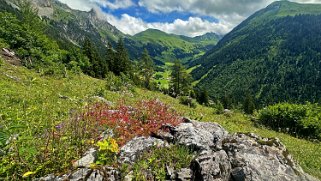 Färmel - Obersimmental Rando 2024