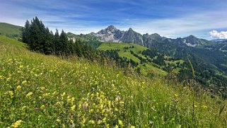 Obersimmental Rando 2024