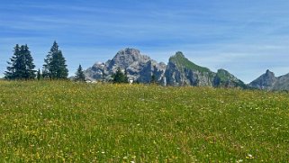 Obersimmental Rando 2024