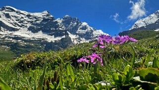 Gspaltenhorn 3436 m - Kiental null