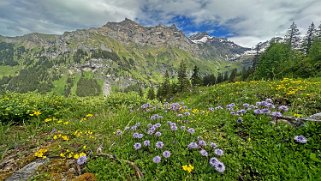 Dünde Mittelberg - Kiental Rando 2024