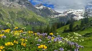 Dünde Mittelberg - Kiental Rando 2024