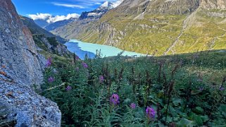 Lac de Mauvoisin 1969 m - Val de Bagne Rando 2024