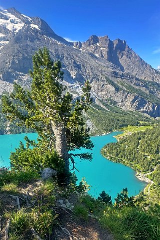 Oeschinensee 1580 m Rando 2024