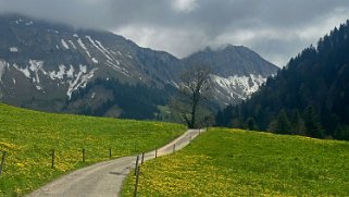 Les Paccots - Col de Soladier Rando 2024