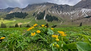 Les Paccots - Col de Soladier Rando 2024