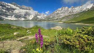 Lac de Salanfe 1908 m Rando 2024