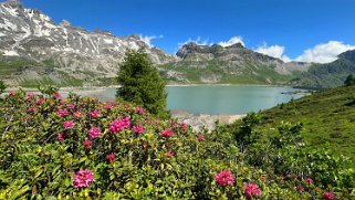 Lac de Salanfe 1908 m Rando 2024