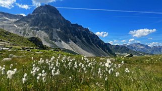 Toûno 3018 m - Val d'Anniviers Rando 2024