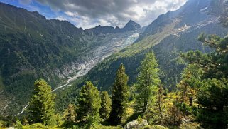 Glacier du Trient Rando 2024